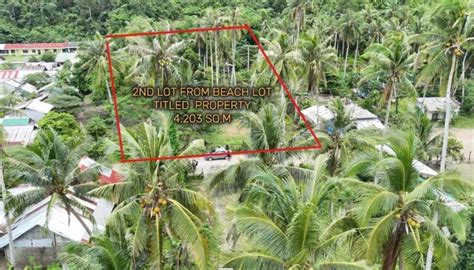 79 lands for sale in San Vicente, Palawan .